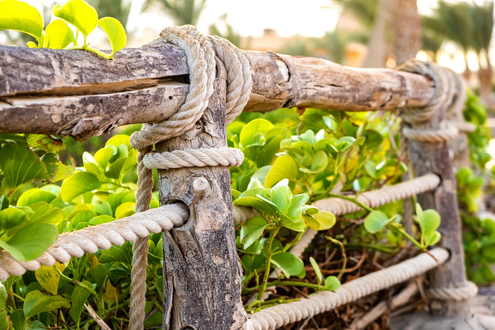 Hemp cord in the garden